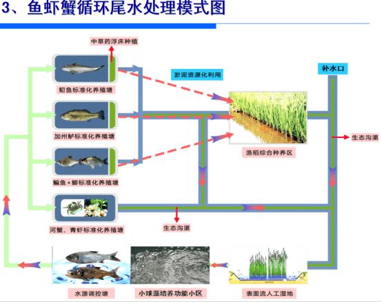水产养殖生态模式如何实现可持续发展?-第2张图片-宁夏农业信息网 水产养殖生态模式如何实现可持续发展?-第2张图片-宁夏农业信息网