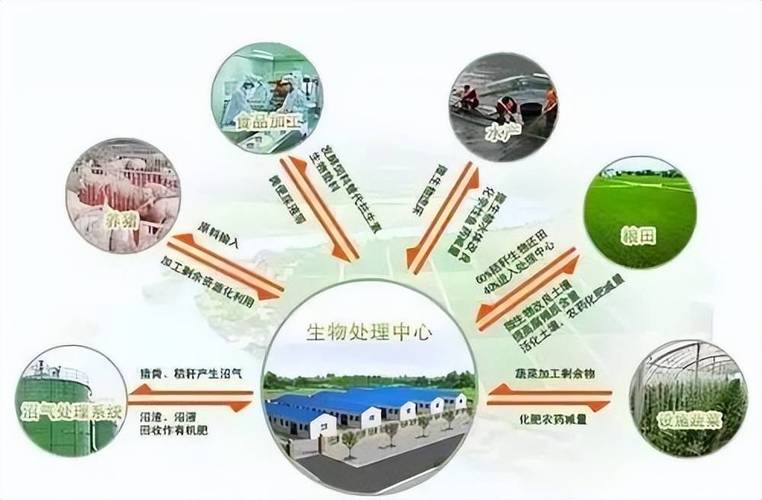 水产养殖生态模式如何实现可持续发展?-第3张图片-宁夏农业信息网 水产养殖生态模式如何实现可持续发展?-第3张图片-宁夏农业信息网