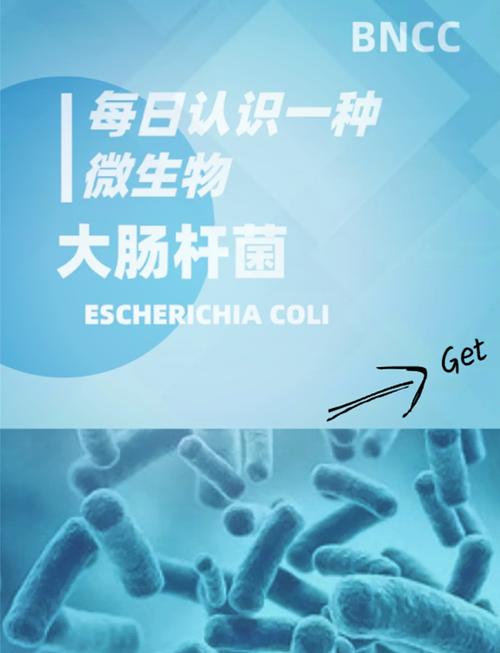 大肠杆菌 预防 水产-第1张图片-宁夏农业信息网