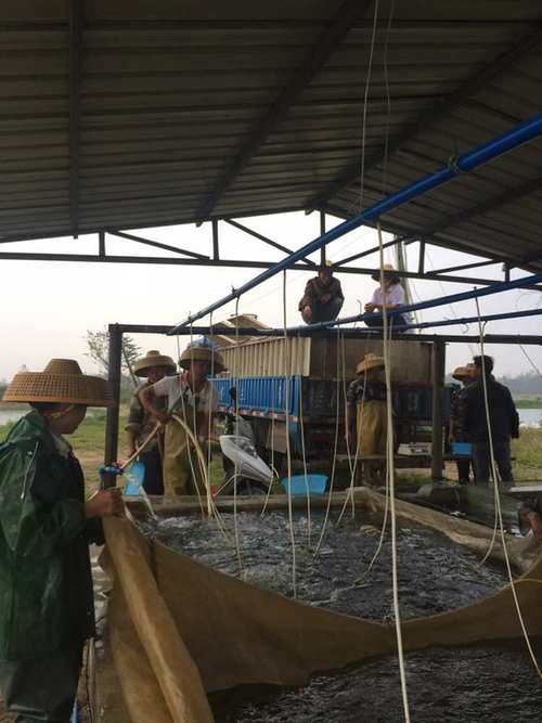 外地水产客户开发该从何入手？-第1张图片-宁夏农业信息网