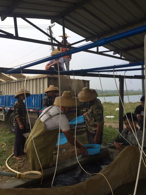 外地水产客户开发该从何入手？-第2张图片-宁夏农业信息网