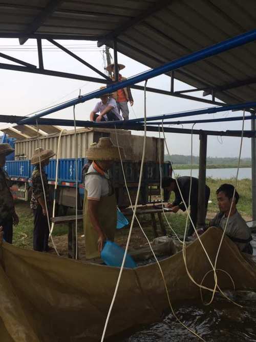 外地水产客户开发该从何入手？-第3张图片-宁夏农业信息网