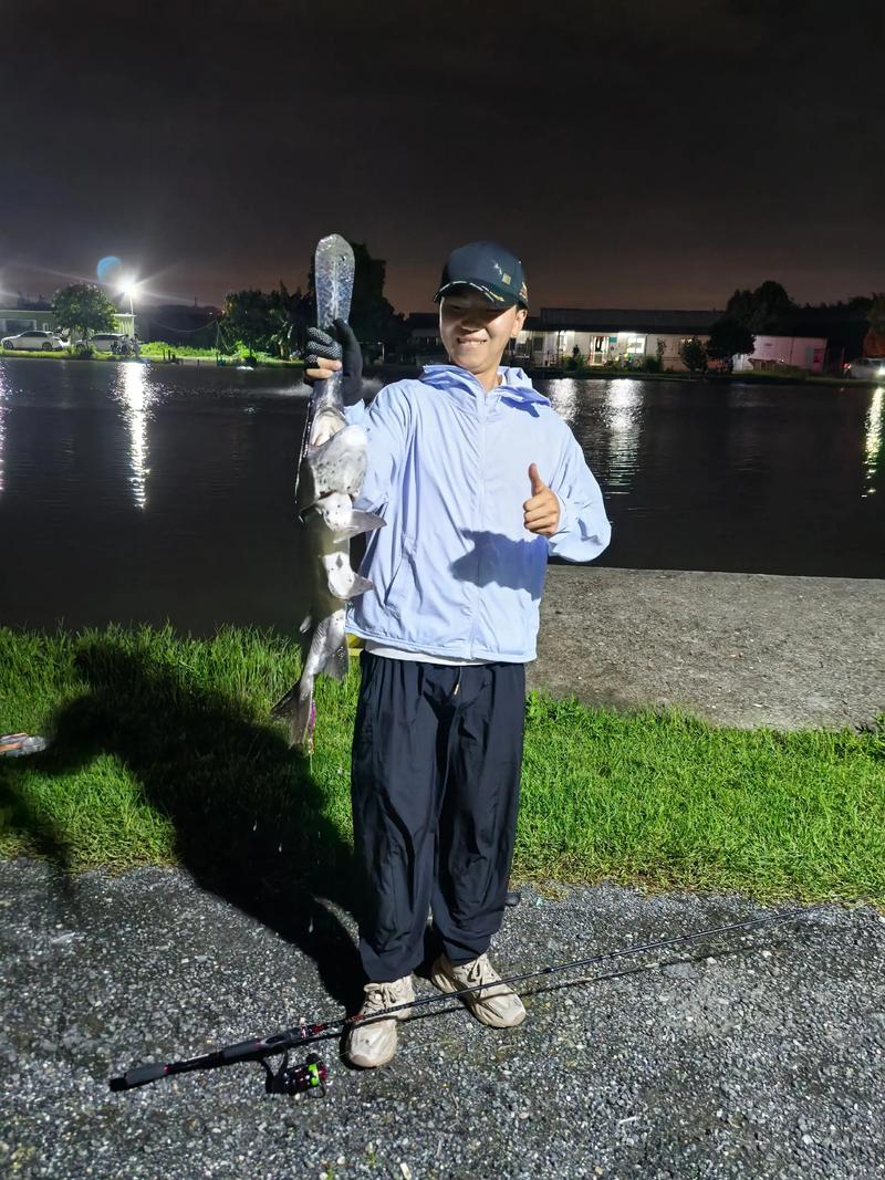 什么品种鸭嘴鱼游动性强-第1张图片-宁夏农业信息网