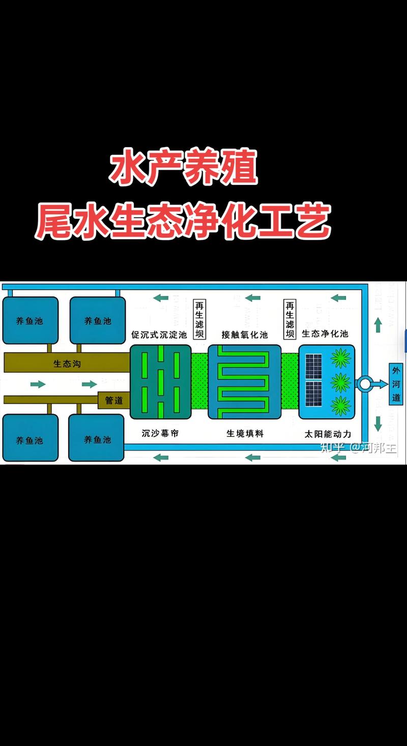 水产养殖碳源补充有何技巧?-第3张图片-宁夏农业信息网 水产养殖碳源补充有何技巧?-第3张图片-宁夏农业信息网