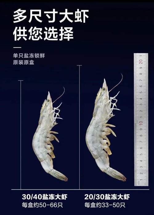 南美白对虾什么品种的好-第3张图片-宁夏农业信息网