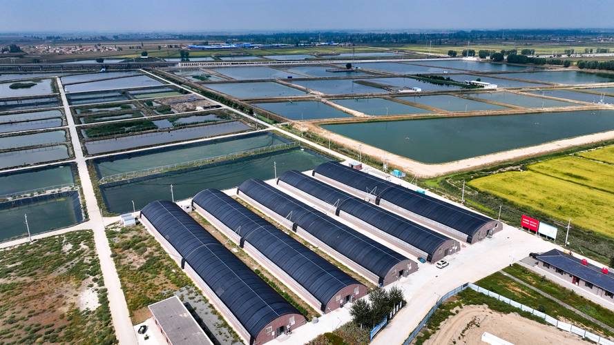 江苏如东水产养殖项目有何特色或优势？-第1张图片-宁夏农业信息网