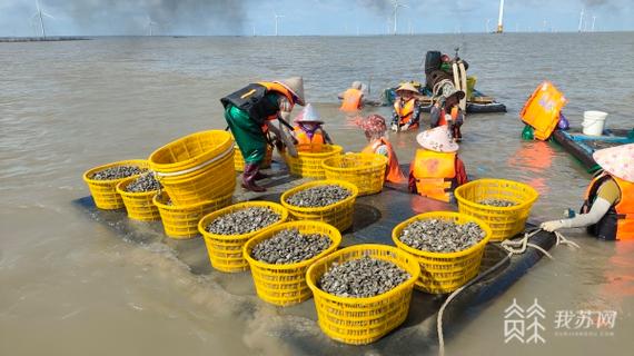 江苏如东水产养殖项目有何特色或优势？-第3张图片-宁夏农业信息网
