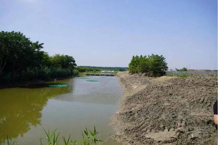 江苏如东水产养殖项目有何特色或优势？-第2张图片-宁夏农业信息网