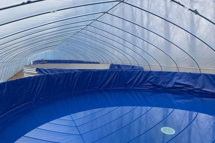 吉林水产养殖大棚如何建设更高效？-第2张图片-宁夏农业信息网