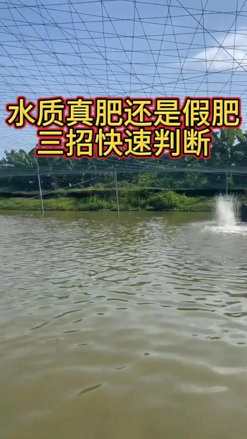 如何观察水产养殖水色-第1张图片-宁夏农业信息网 如何观察水产养殖水色-第1张图片-宁夏农业信息网