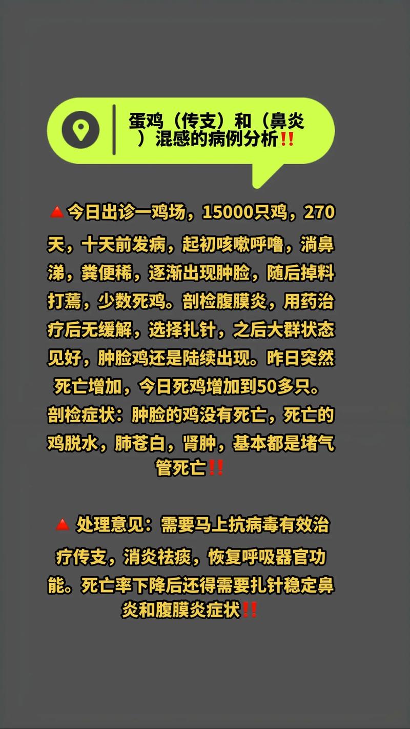 禽鸡鼻炎怎么治？最佳方法是什么？-第1张图片-宁夏农业信息网