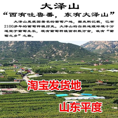 郴州美早樱桃苗品种怎么排？-第1张图片-宁夏农业信息网