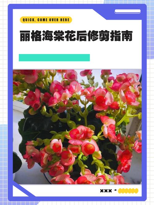 丽格海棠修剪方法有哪些技巧？-第1张图片-宁夏农业信息网