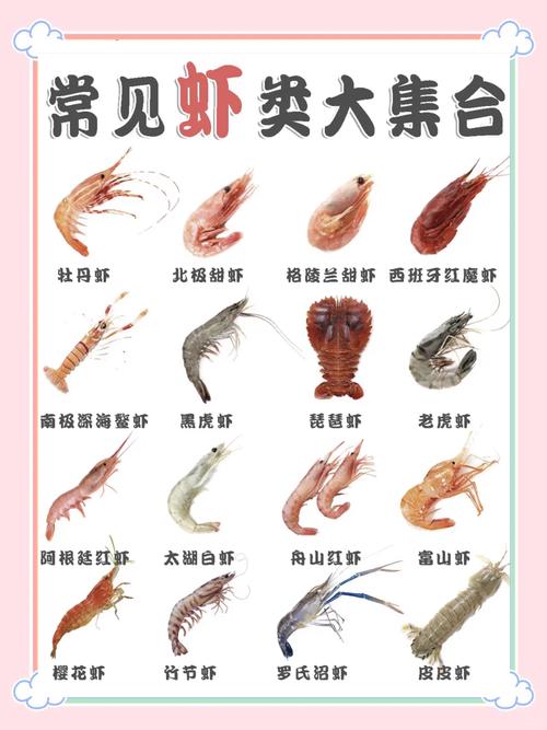 观赏虾有哪些品种？附图片大全-第2张图片-宁夏农业信息网