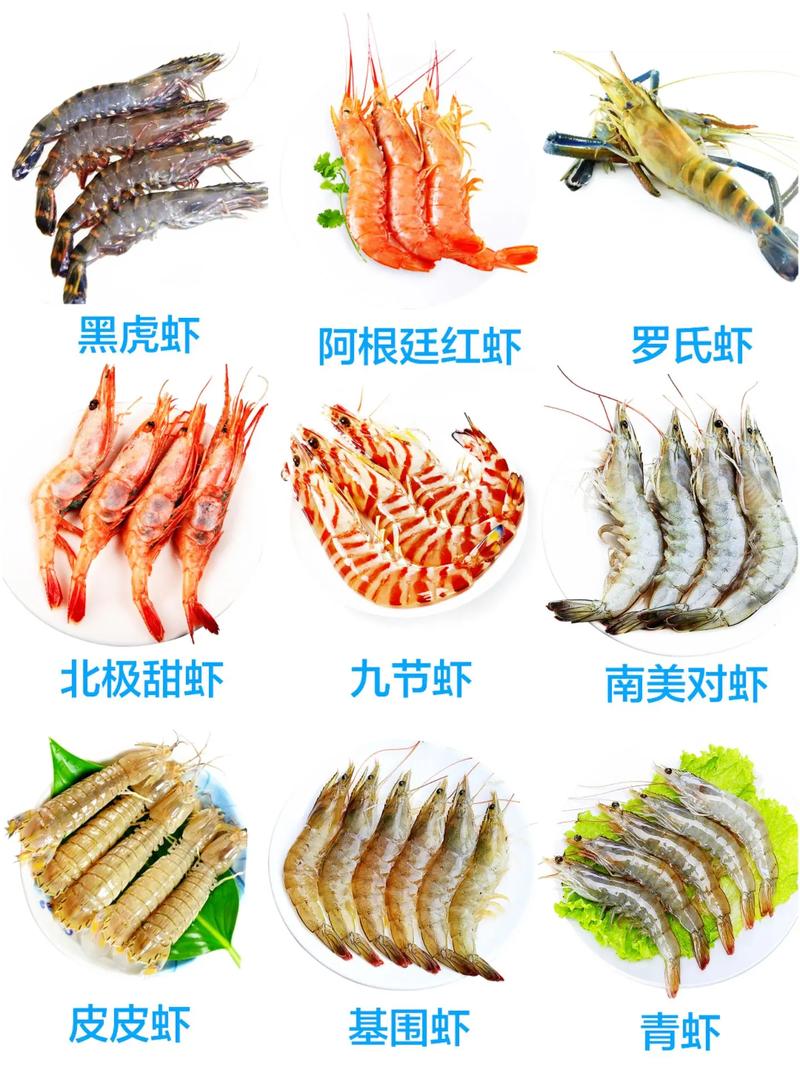 观赏虾有哪些品种？附图片大全-第3张图片-宁夏农业信息网