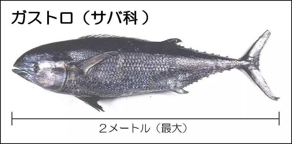 水产导论课3000字，核心内容是什么？-第1张图片-宁夏农业信息网