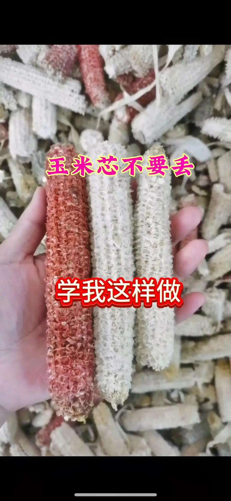 玉米芯栽培白灵菇，关键步骤有哪些？-第1张图片-宁夏农业信息网