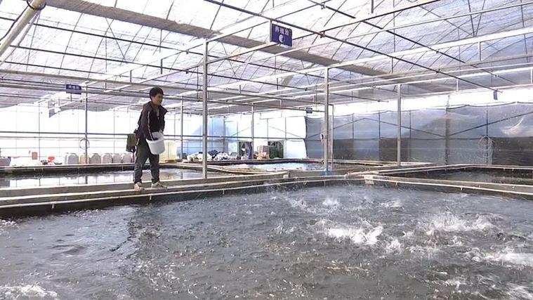 贵州水产养殖水面出租-第2张图片-宁夏农业信息网