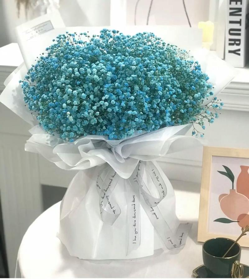 新鲜满天星鲜花怎么保存?-第1张图片-宁夏农业信息网 新鲜满天星鲜花怎么保存?-第1张图片-宁夏农业信息网