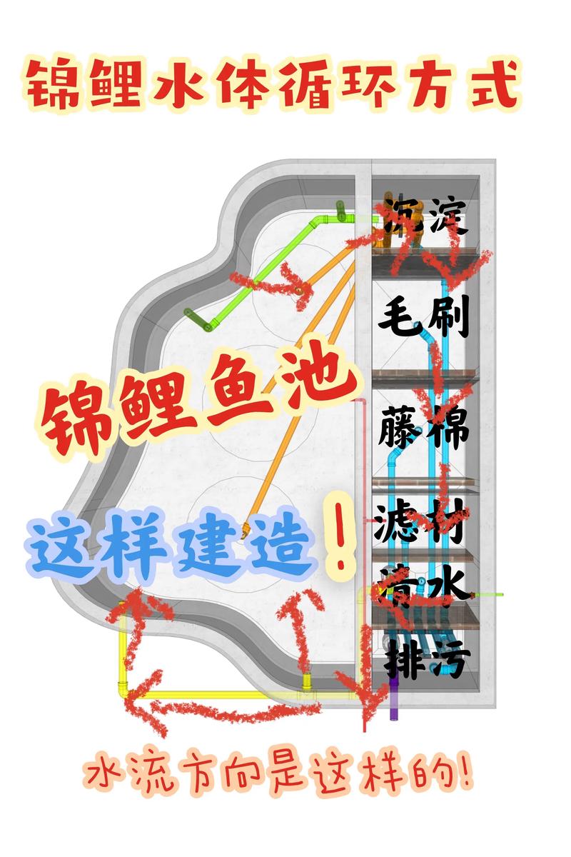 重庆欧施春鱼塘设计方法有哪些关键点？-第2张图片-宁夏农业信息网