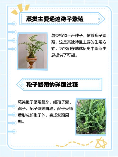 植物人工营养繁殖方法有哪些？-第1张图片-宁夏农业信息网