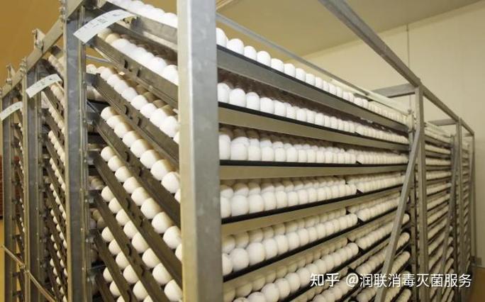 最常用种蛋消毒方法是哪种？-第1张图片-宁夏农业信息网