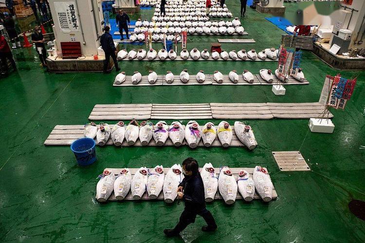 东京丰州市场 拍卖方法-第1张图片-宁夏农业信息网