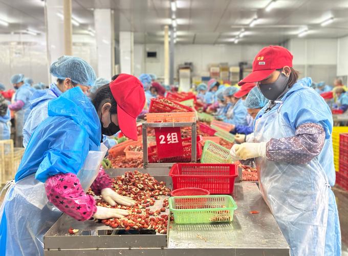 水产加工企业如何带动就业?-第1张图片-宁夏农业信息网 水产加工企业如何带动就业?-第1张图片-宁夏农业信息网