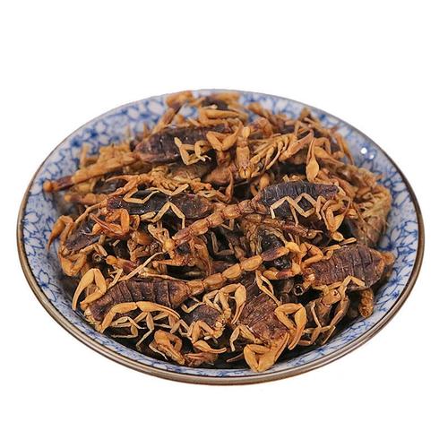 蝎子粉怎么吃?有哪些禁忌?-第2张图片-宁夏农业信息网 蝎子粉怎么吃?有哪些禁忌?-第2张图片-宁夏农业信息网