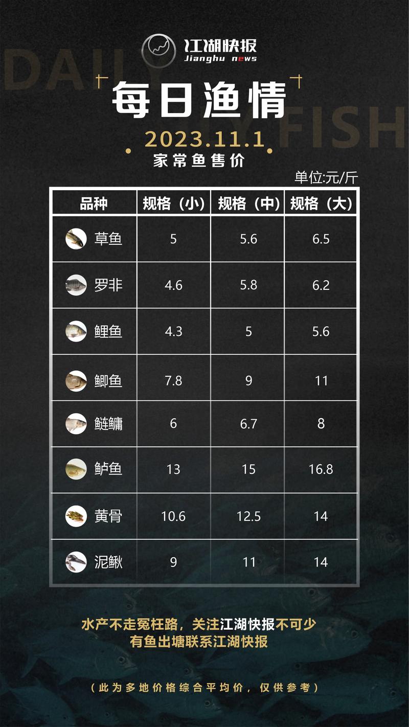 常德水产鲤鱼今日价格-第2张图片-宁夏农业信息网