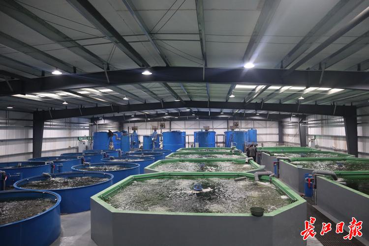 海南水产养殖培训学校学什么？-第1张图片-宁夏农业信息网