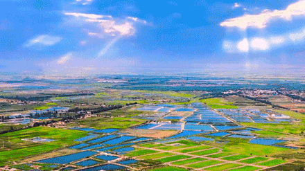 世界水产养殖发展动态-第1张图片-宁夏农业信息网