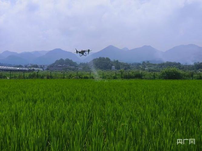 ak一91农用无人机喷洒农药-第2张图片-宁夏农业信息网 ak一91农用无人机喷洒农药-第2张图片-宁夏农业信息网