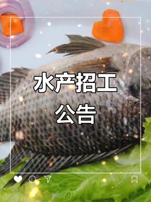 水产养殖老师招聘要求有哪些？-第2张图片-宁夏农业信息网