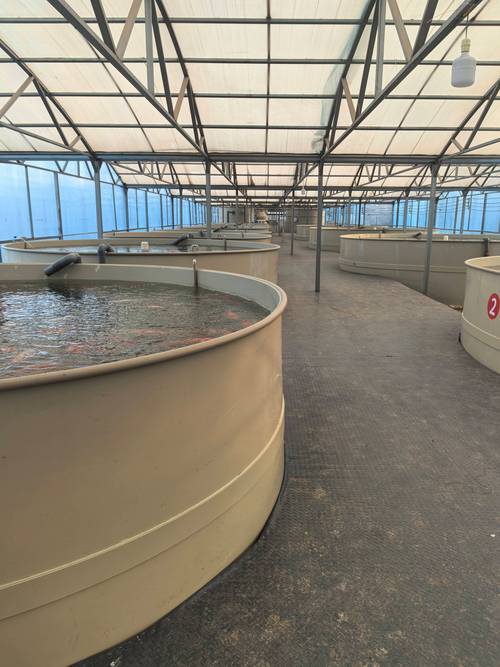 水产养殖试验推广项目如何高效落地？-第1张图片-宁夏农业信息网