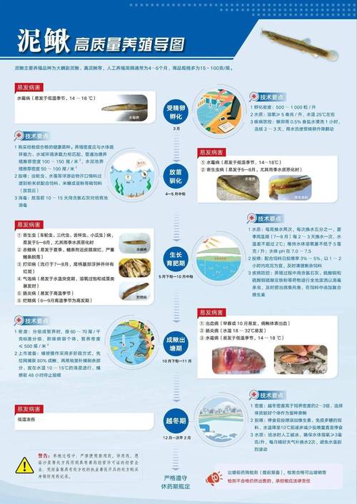 水产养殖试验推广项目如何高效落地？-第2张图片-宁夏农业信息网