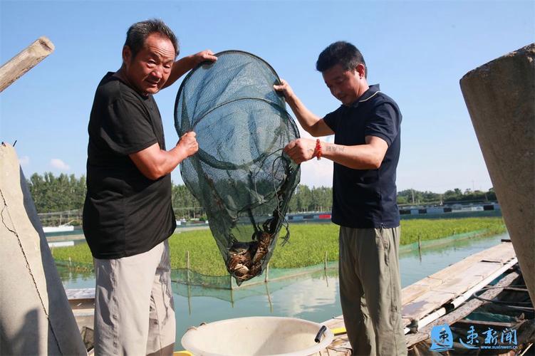 泗阳水产养殖规模与特色如何？-第1张图片-宁夏农业信息网