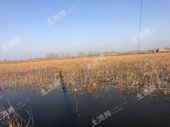 泗阳水产养殖规模与特色如何？-第3张图片-宁夏农业信息网