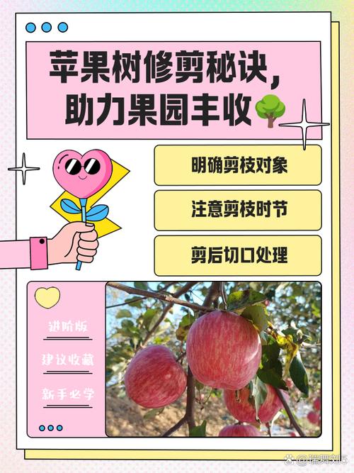 苹果养殖方法和注意事项-第3张图片-宁夏农业信息网 苹果养殖方法和注意事项-第3张图片-宁夏农业信息网