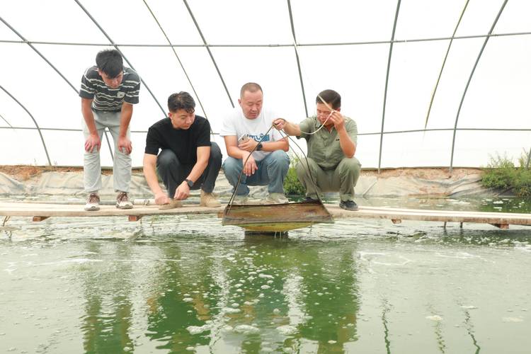 新疆水产养殖前景究竟如何？-第2张图片-宁夏农业信息网