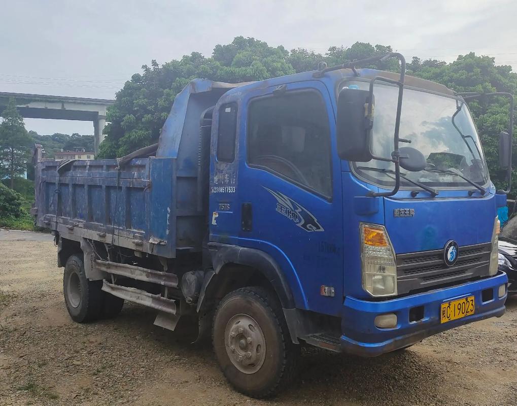 泰安二手农用自卸车价格多少？-第3张图片-宁夏农业信息网