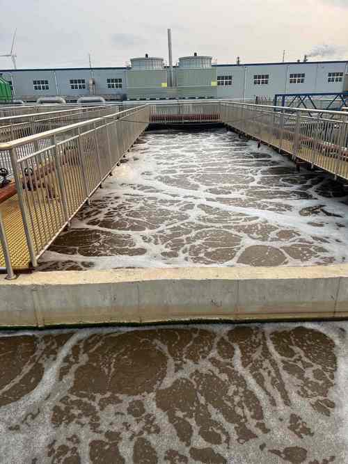 生物处理水产养殖废水有何高效新方法？-第1张图片-宁夏农业信息网