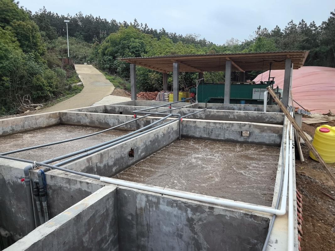 生物处理水产养殖废水有何高效新方法？-第3张图片-宁夏农业信息网