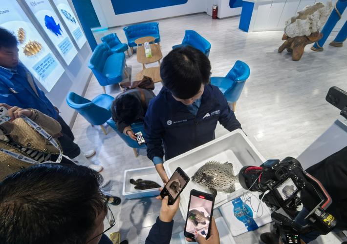 烟台水产公司稽查部长职责是什么？-第1张图片-宁夏农业信息网