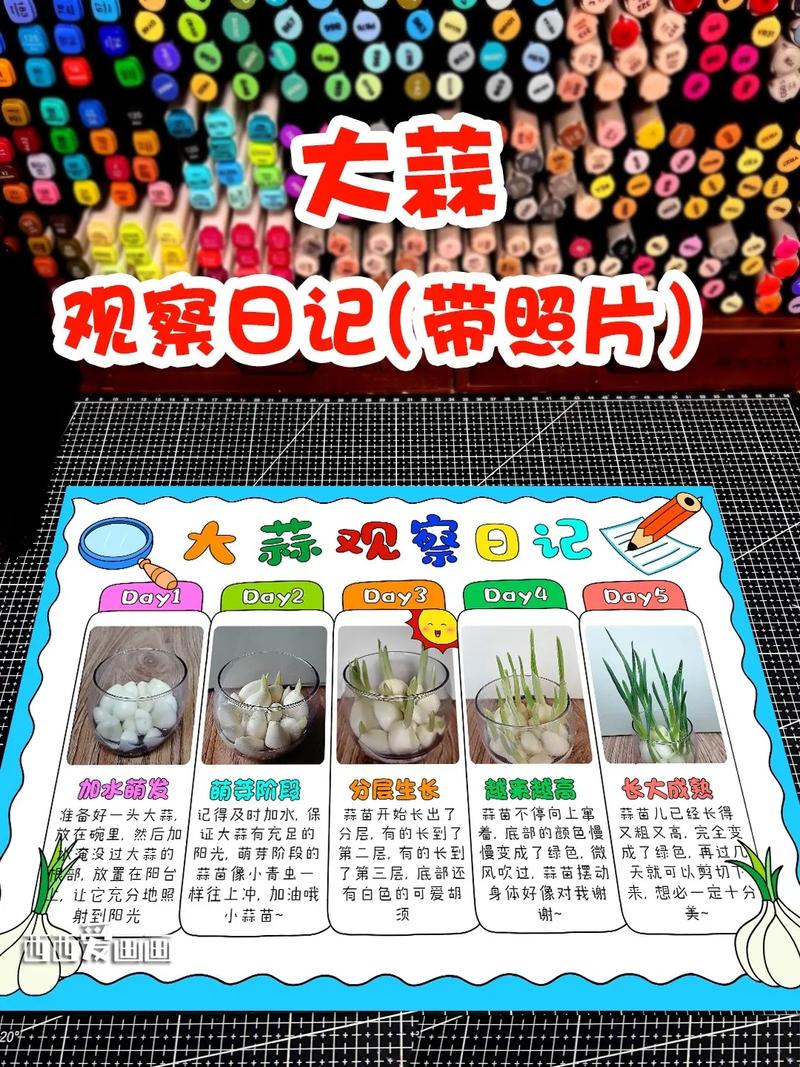 大蒜种植步骤有哪些?-第3张图片-宁夏农业信息网 大蒜种植步骤有哪些?-第3张图片-宁夏农业信息网