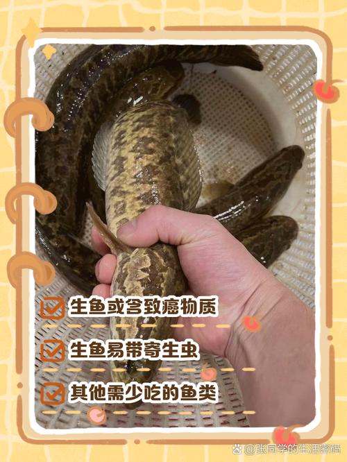 水产养殖算杀生吗？-第2张图片-宁夏农业信息网