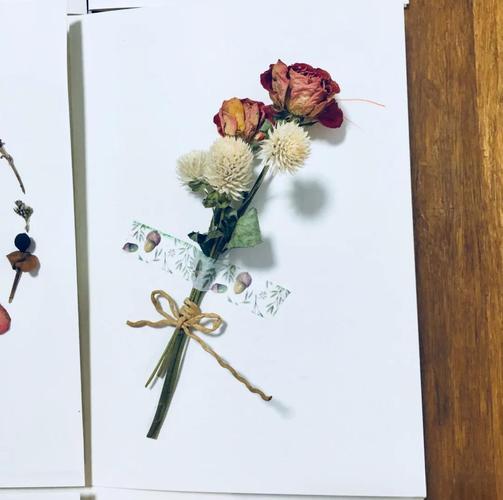 小雏菊干花制作方法有哪些？-第1张图片-宁夏农业信息网