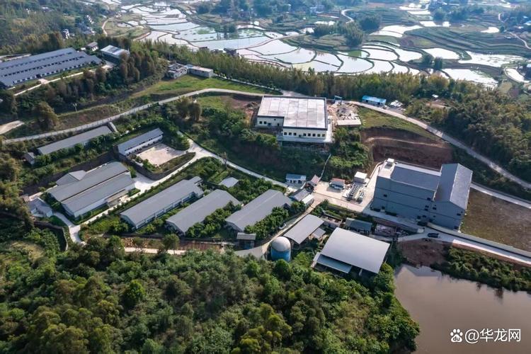 西南大学荣昌水产养殖有何特色？-第1张图片-宁夏农业信息网