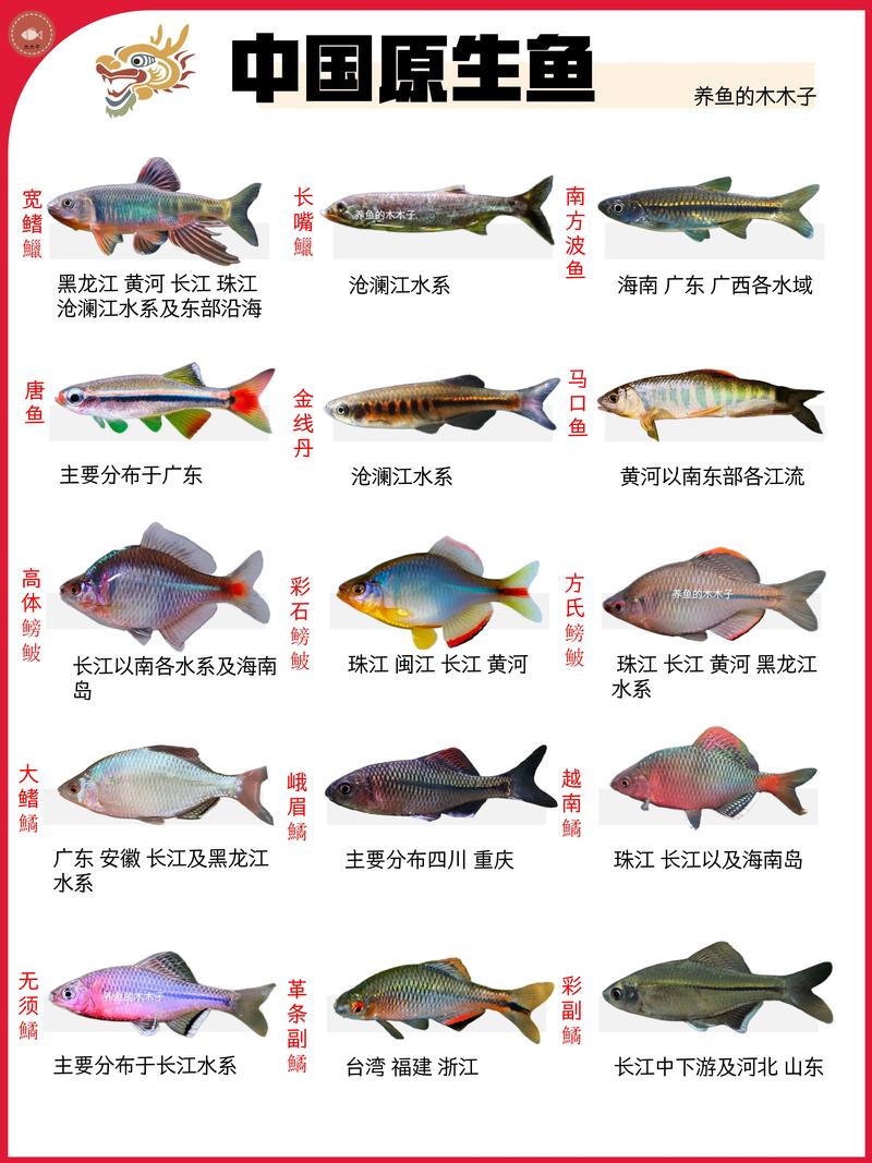 中国进口鱼类水产排名-第1张图片-宁夏农业信息网