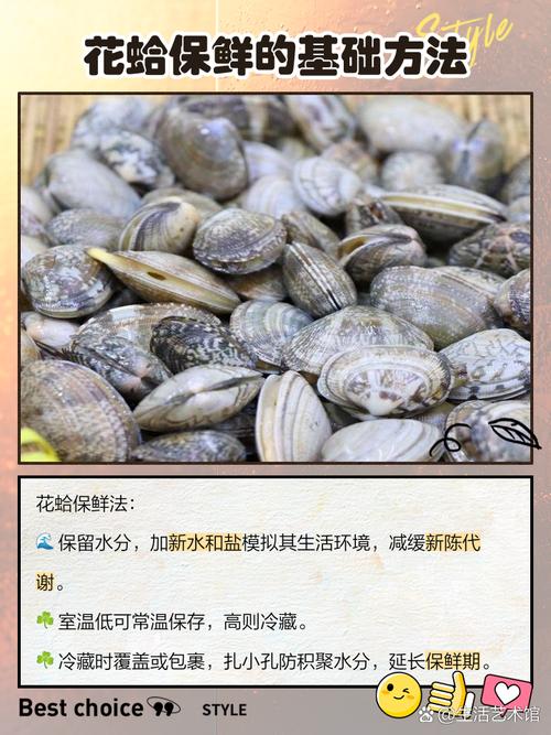 水产花蛤批发要注意哪些事项？-第3张图片-宁夏农业信息网